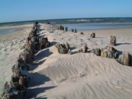 Resize of DSCF2547.JPG